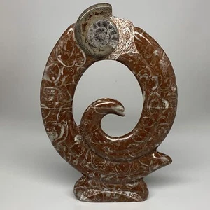 2512g, 12.75"x8.5"x0.8" Red Shell Fossils Orthoceras Ammonite Sculpture @Morocco - Picture 1 of 8