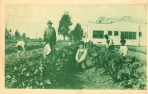 1928-1940 SPANISH-AMERICAN INSTITUTE, early Latino charity, LOS ANGELES - Picture 1 of 6