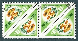 POLAND 1959 60g SG1090 used NH FG CTO Mushrooms Lactarius deliciosus b #B06 - Picture 1 of 1