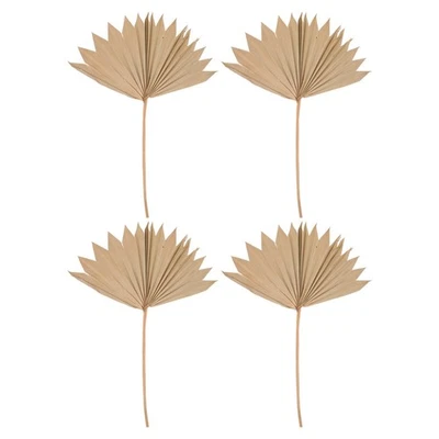 4 Pcs Palm Decoration Pour Fetes Feuille Palmier Séchée Décorations Fête - Image 1 of 4