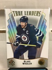 2021-22 Upper Deck SP Authentic Hockey Inserts, Parallels, Rookies, You Pick