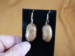PP1-1 Real 1" MOOSE POOP doo dangle gold tone earrings WEIRD poo doo funny gift - Picture 1 of 1