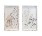 Arthouse Set of 2 Framed Honesty Prints Fine Branches with Leaves Wood Effect...