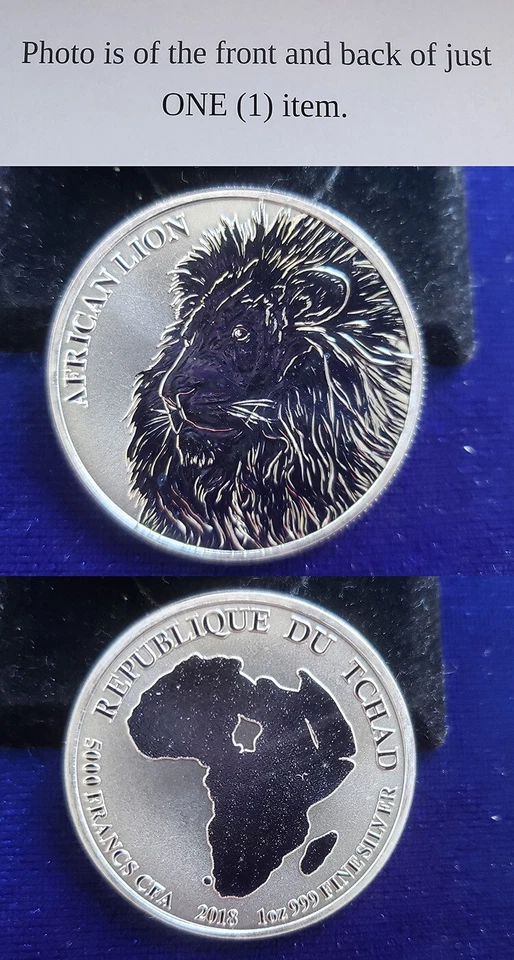 Chad 5,000 Francs 2018 African Lion 1 Troy Oz .999 Silver Coin 24734 - Image 1 of 1
