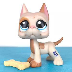 Original Littlest Pet Shop #1647 Deutsche Dogge Hund / Original Hasbro LPS - Bild 1 von 5