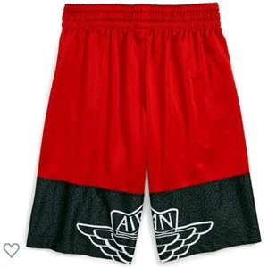 Air Jordan Basketball Shorts - Picture 1 of 8