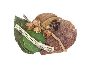 Botanical Combo Pack - Bild 1 von 8