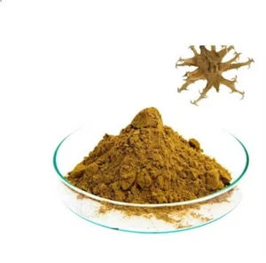 Devil's Claw Extract Powder 5% Harpagoside Harpagophytum High Quality Free Ship - Picture 1 of 6