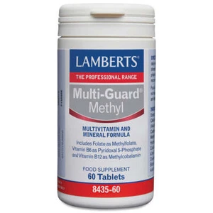 Lamberts Multi-Guard Methyl 60's Multivitamin Mineral Formula Health