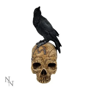 Raven & Witchcraft Skull Gothic Statue Fantasy Figurine Decorative Occult Box - Picture 1 of 1