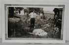 Orig 1930s Snapshot Photo Man on Farm Watching Pig Suckle Group of Piglets
