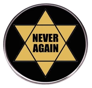 Never Again Israel Support Jews Pro Jewish Star of David Israeli IDF Judaism Pin - Picture 1 of 2
