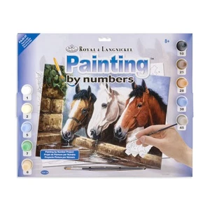 Painting by Numbers Junior Large Art Activity Kit, Three of a Kind - Picture 1 of 4