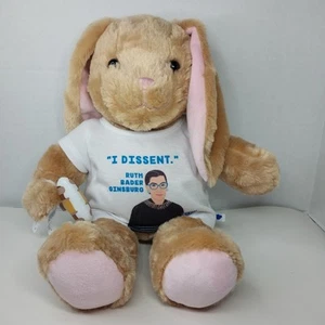 Costruisci un orso laboratorio Ruth Bader Ginsburg ragazze ribelli Pawlette Bunny musica peluche - Foto 1 di 12