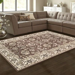 Lille Ornamental Traditional Runner Floral Border Indoor Area Rugs or Runner Rug - Picture 1 of 53