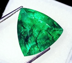 Natural Emerald 10.55 Ct Trillion Shape Certified Loose Gemstone - Picture 1 of 6