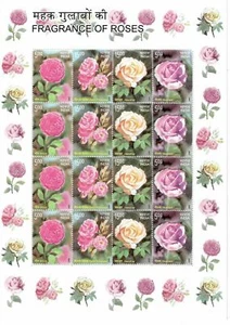 Hoja de estampillas decorativas con aroma fragante inusual de rosas de la India 2007 - Imagen 1 de 2