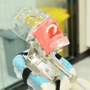 Dental Simulator Phantom Head Model Dental preparation support - Picture 1 of 27