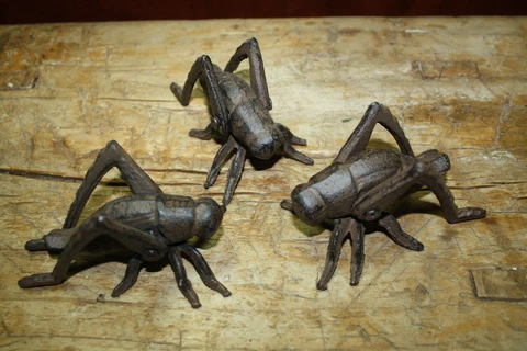 3 Cast Iron Garden Bugs GRASSHOPPER Flower Insects Plants Statue CRICKET BUG Cover