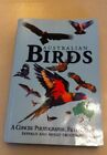 Australian Birds. A Concise Photogr..., Trounson, Donal