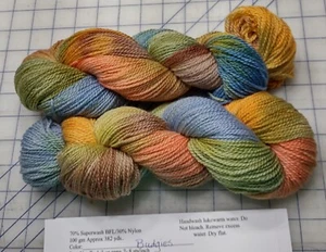 Hilo para dedos de calcetín pintado teñido a mano 100 gm superlavado BFL nailon periquitos - Imagen 1 de 1