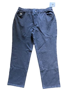 Dream Jeannes Quacker Factory Size 1X Short Gray Stretch Pull On Pants Jeans NEW - Picture 1 of 9