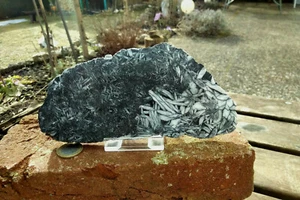 schöne Pinolith Platte Untersetzer ("Eisblumen Magnesit")  Hohentauern 450g  - Picture 1 of 8