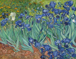 VINCENT VAN GOGH Art Poster or Canvas Print "Irises" - Picture 1 of 1