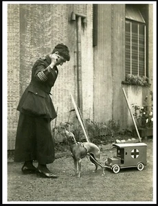 ITALIAN GREYHOUND TOY RED CROSS AMBULANCE LADY IN UNIFORM PHOTO PRINT POSTER - Foto 1 di 1