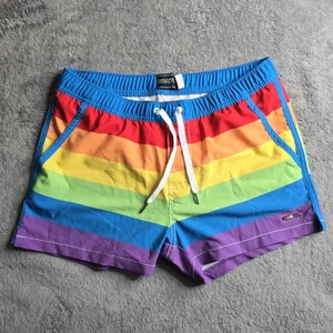 ANDREW CHRISTIAN Pride Rainbow Stripe Swim Shorts Mens Large Mesh Liner EUC - Picture 1 of 17