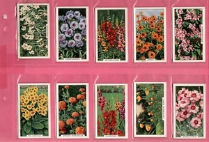 Gallaher: Garden Flowers 1938 Full Set 48 Cigarette Cards - Picture 1 of 10