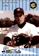 1993 Sioux Falls Canaries Team Issue #2 David Waco Northridge California CA Card