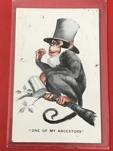 EARLY 1900s COMIC HUMOUR PC - ONE OF MY ANCESTORS - Picture 1 of 1