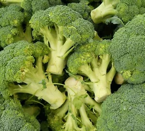 ☺1000 graines de brocoli - Picture 1 of 1