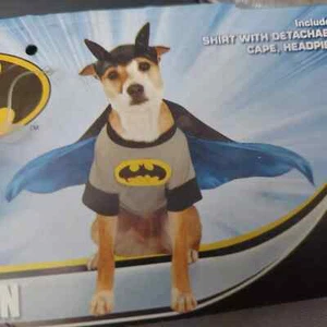 RUBIES BATMAN Dog Pet Costume Superhero DC Comics Medium Cape Shirt Hat - Picture 1 of 6