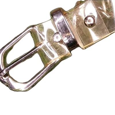 Cinturón De Colección Y2K Jalea Transparente Pequeño Vinilo Transparente Plateado Tachonado Bratzcore Años 2000 Foto 1 de 4