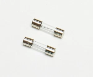 NEW FAST FUSE 10 AMP 250 VOLT FOR DENTAL EQUIPMENT PORTABLE UNIT VIBRATOR 2PC - Picture 1 of 3