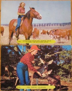 Paar Postkarten 1950 - Cowgirl in Del Norte, Colorado CO - Bild 1 von 1