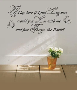 If I Lay Here Snow Patrol Vinyl Wall Sticker Lyrics Song Art Quote Decal Decor - Picture 1 of 9