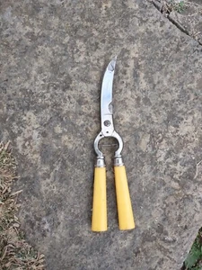 Vintage Italian Poultry Shears - Lifetime Cutlery Of Italy With Bakelite Handles - Picture 1 of 7