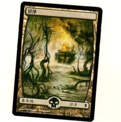 Swamp Zendikar #240/249 Chinese Zendikar Magic the Gathering Card - Image 1 of 4