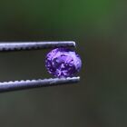 0.33 Ct Loose Oval Shape Purple Sapphire Natural Flawless Sri Lankan Custom Gift