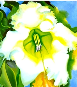 Georgia O' Keeffe Cup Of Silver Botanic Flowers Art Print Book Plate 87 - Picture 1 of 3