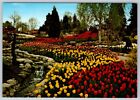 Tulip Garden, Cullen Gardens & Miniature Village, Whitby Ontario Postcard, NOS