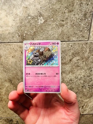 Shiny Houndstone 275/190 Near Mint Shiny Treasure ex Japanese Pokemon sv4a 2023 - Image 1 of 2