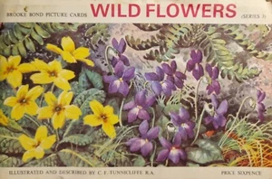 Wildblumen (Serie 3) - Teekarte komplettes Album - guter Zustand - #341 - Bild 1 von 11
