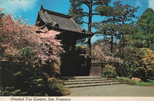 Oriental Tea Garden San Francisco California Vintage CA Postcard - Picture 1 of 2