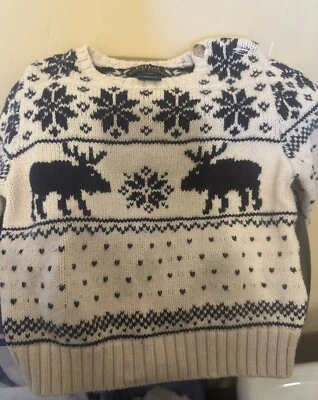 Polo Ralph Lauren Suéter de Malha Rena Unissex Infantil 18 Meses Mistura de Lã - Imagem 1 de 4