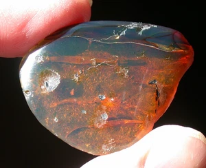 Bellissimo dinosauro fossile ambra birmana birmana BLU età 5,5 grammi - Foto 1 di 8