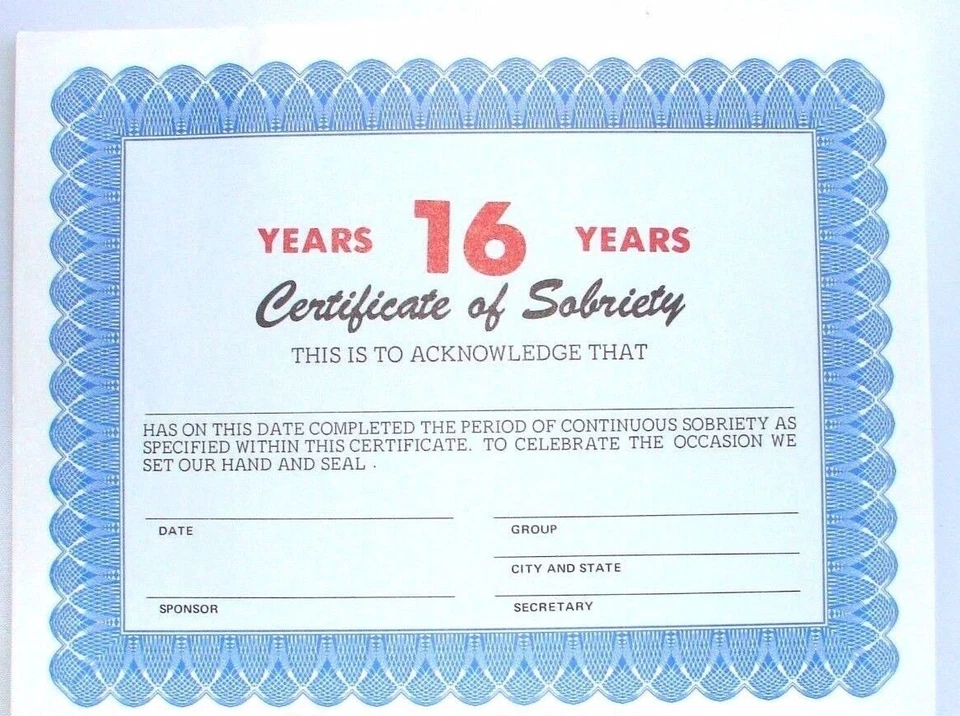 SW Alcoholics Anonymous AA Certificate of Sobriety 16 Year Award Medallion Token